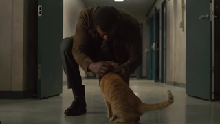 Sure, Captain Marvel is great, but we're here for the cat, wrong name and all